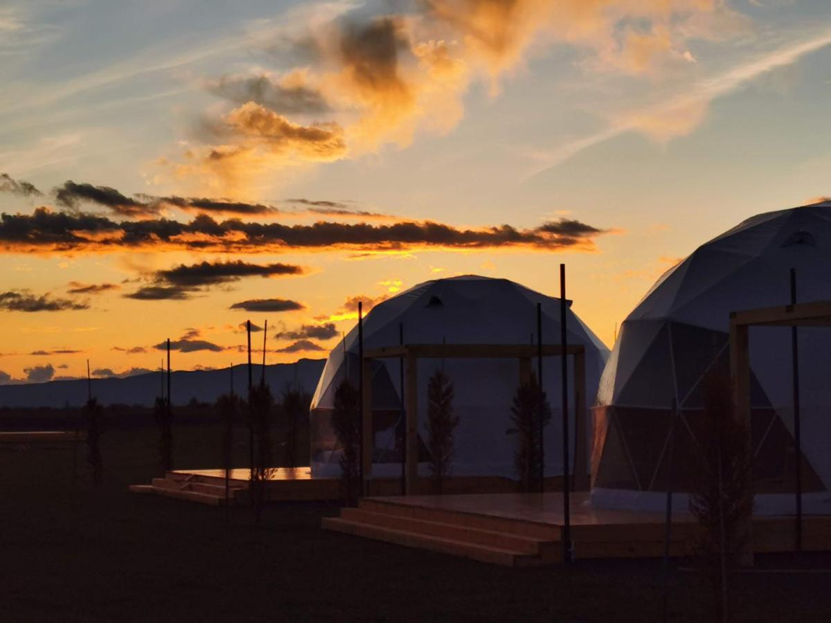 Jewelberry Glamping Hotel Tbilisi Mtsʼkhetʼa 외부 사진