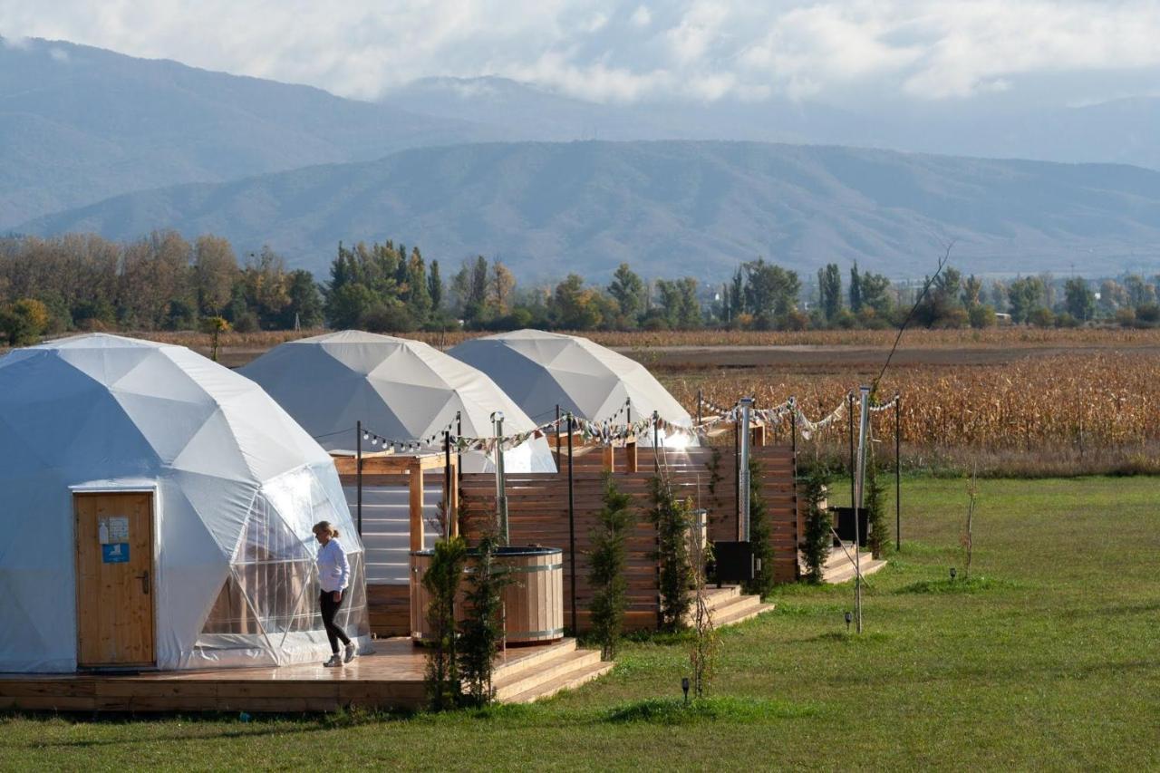 Jewelberry Glamping Hotel Tbilisi Mtsʼkhetʼa 외부 사진