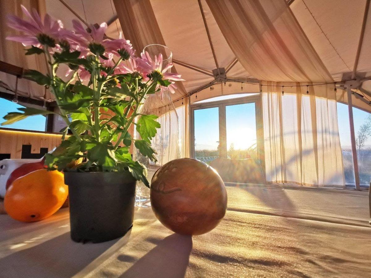 Jewelberry Glamping Hotel Tbilisi Mtsʼkhetʼa 외부 사진